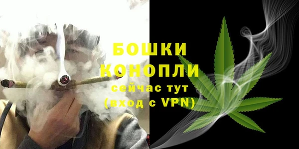 экстази Богданович