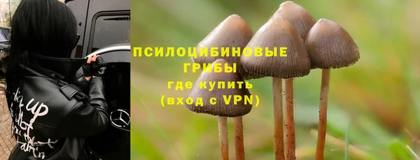 молекула духа Богородск