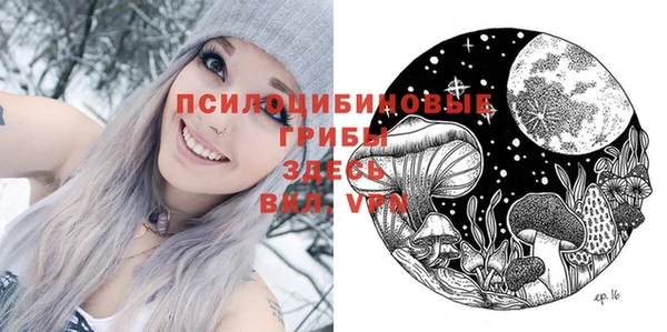 экстази Богданович