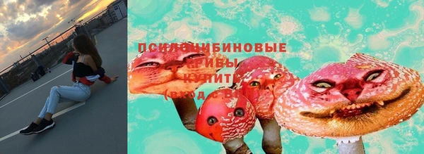 экстази Богданович