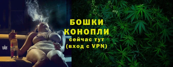 молекула духа Богородск