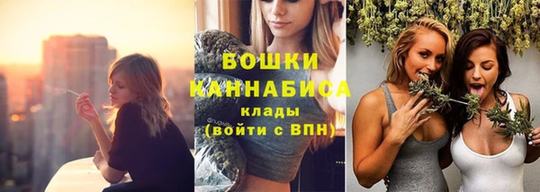 экстази Богданович